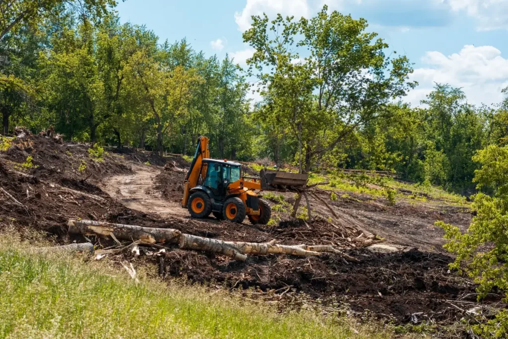 Professional landing clearing services in San Jose CA by Majestic Tree Service