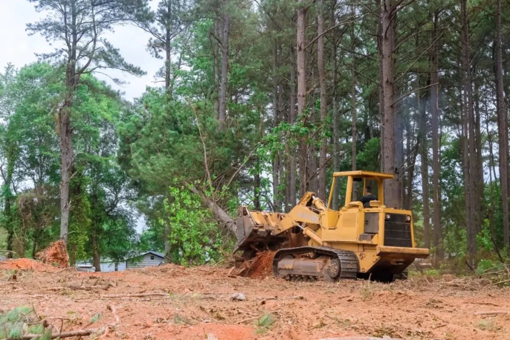 Tractor removing a large tree to clear land in San Jose CA