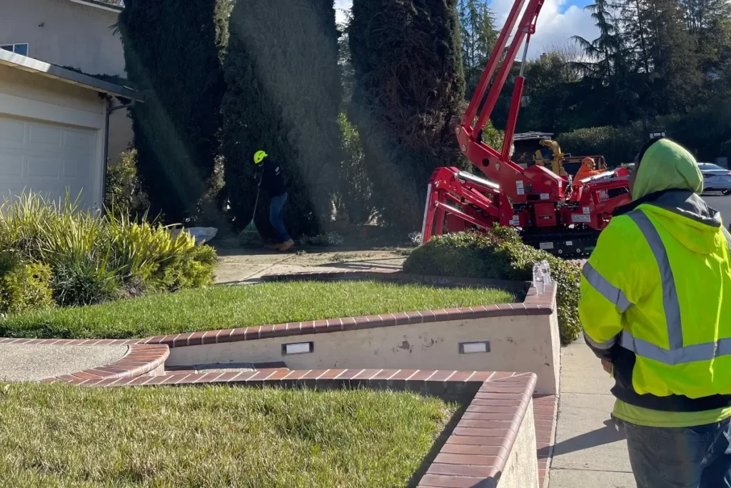 Arborists preparing cleaning a driveway after pruning large tree shrubs