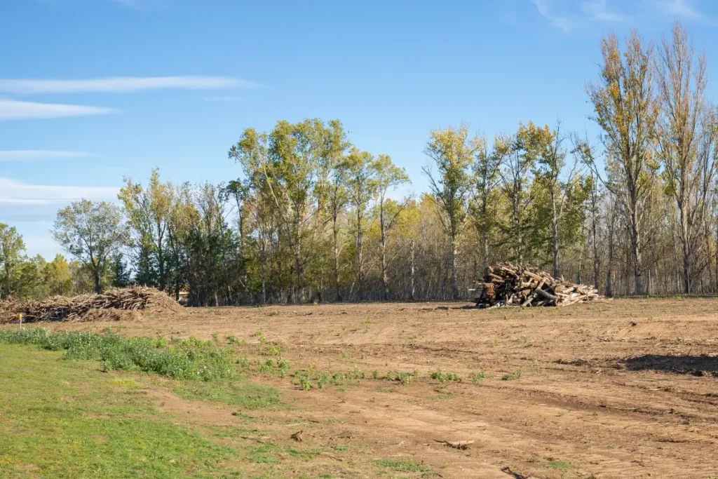 Large pile of woody material from land clearing of surrounding bush and trees - hazard fuel reduction
