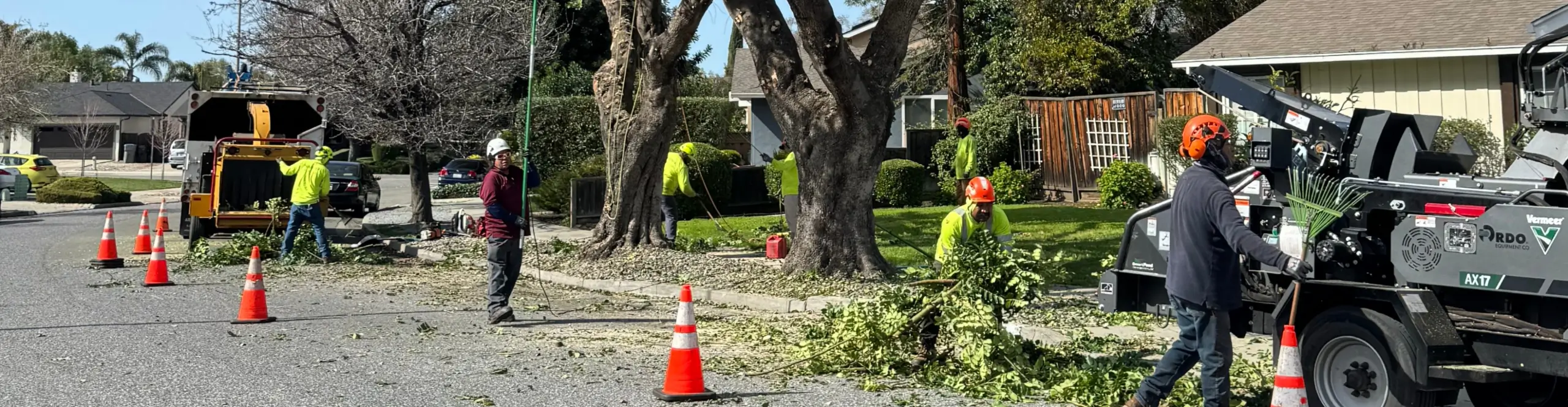 Arborists from Majestic Tree Service working in a residential neighborhood in San Jose