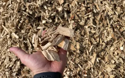 free wood chips after stump grinding service in san jose - san ramon