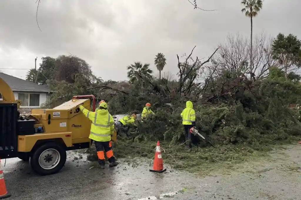 Majestic Tree Service chipping tree branches and brush