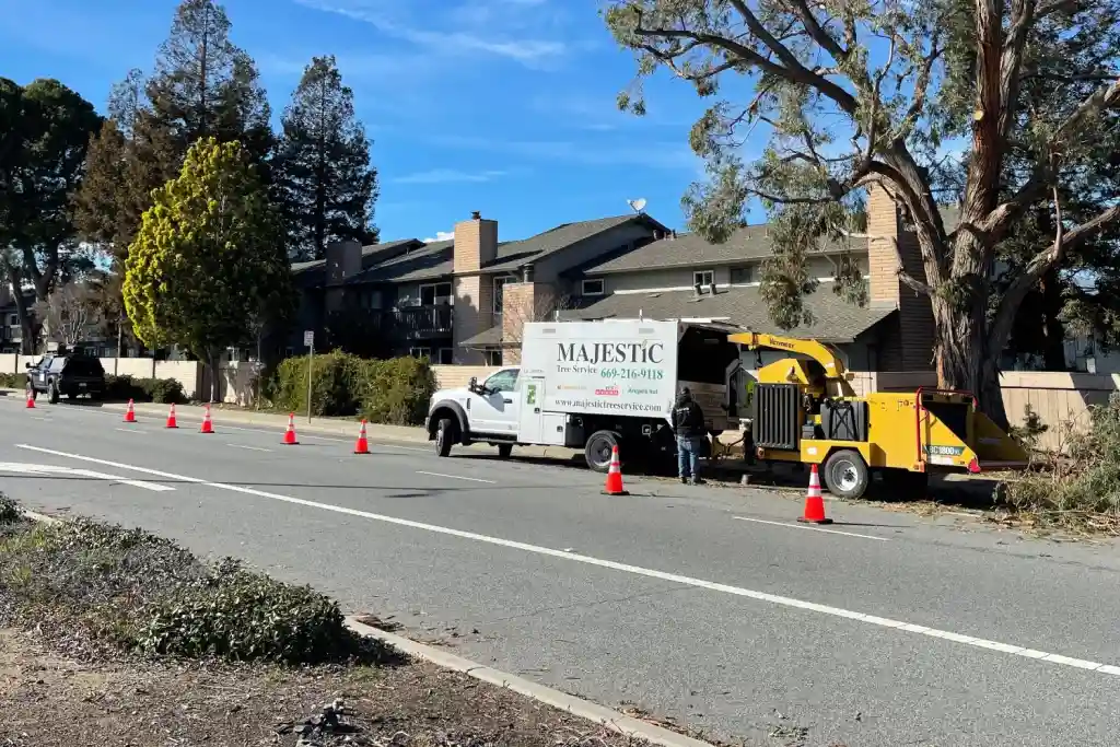 Majestic Tree Service truck and wood chipper clearing branches from street