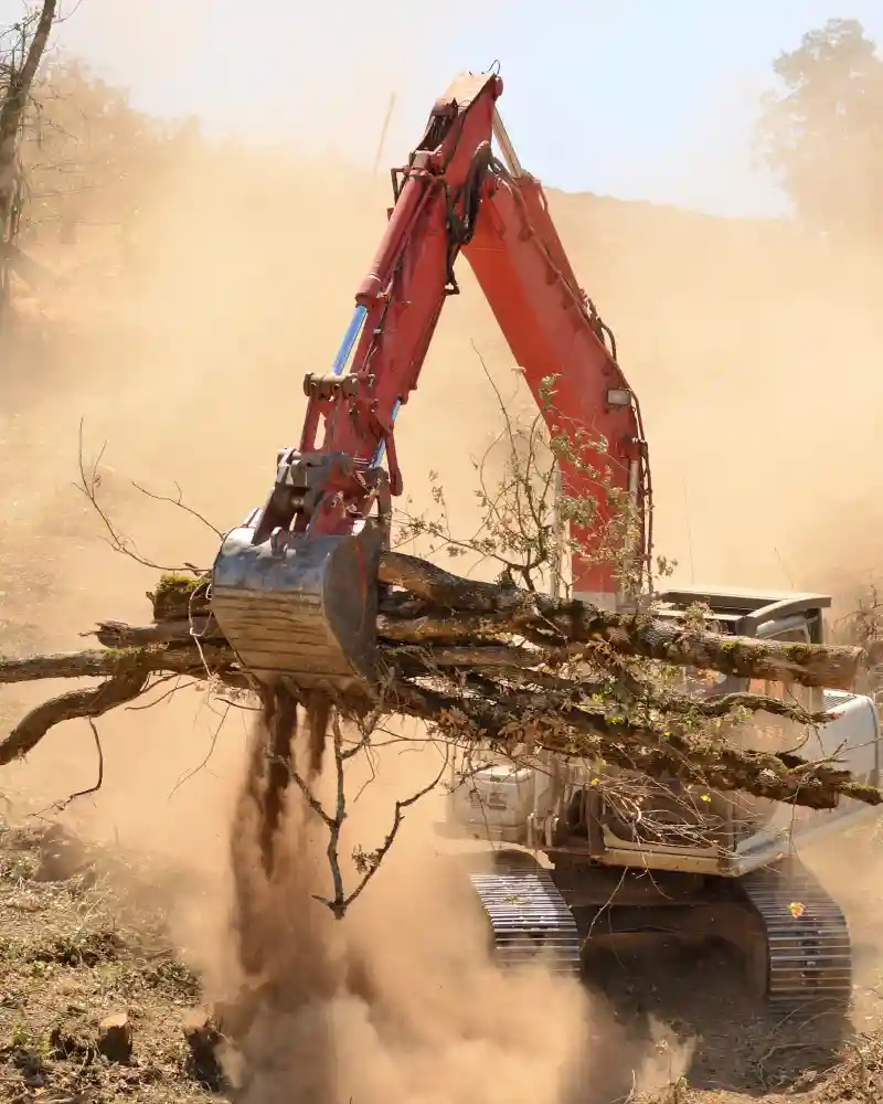 Removing trees with a brush hoe in San Jose CA